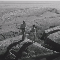 Summer with Monika (1953), dir. Ingmar Bergman